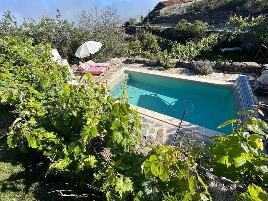 Lilly'S Finca - Romantischter Rueckzugsort - Pool Vilaflor Exterior photo