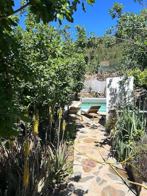 Lilly'S Finca - Romantischter Rueckzugsort - Pool Vilaflor Exterior photo